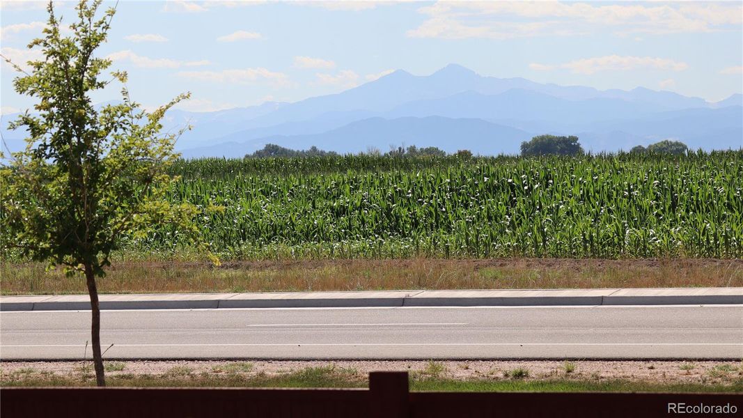 Image 38 of a home in Ravina. Image 38 of a home in Ravina.