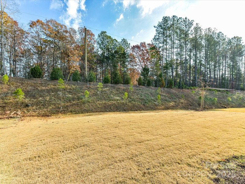 Natural landscape and outdoor views near Kinsdale in Lancaster (Image 39).