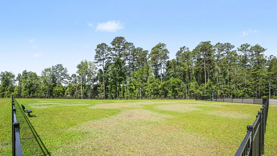 Natural landscape and outdoor views near Preserve at Cypress Commons in Conway (Image 11). Natural landscape and outdoor views near Preserve at Cypress Commons in Conway (Image 11).