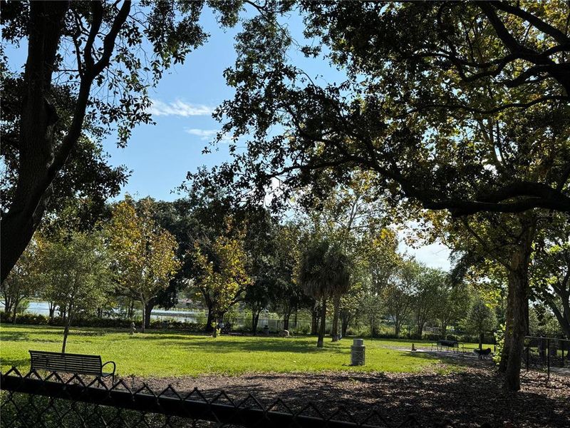 Natural landscape and outdoor views near in Clearwater (Image 35). Natural landscape and outdoor views near in Clearwater (Image 35).