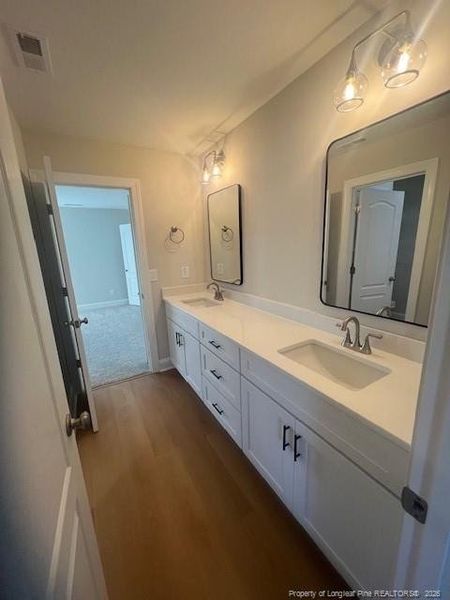 Jack and Jill bathroom