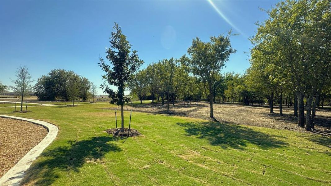 Natural landscape and outdoor views near Terra Trace in Fort Worth (Image 7).