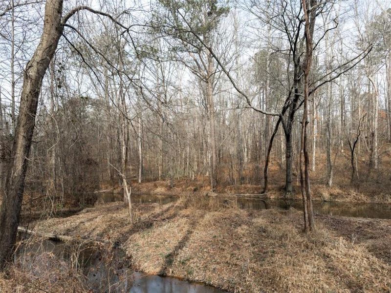 Natural landscape and outdoor views near  in Covington (Image 51).