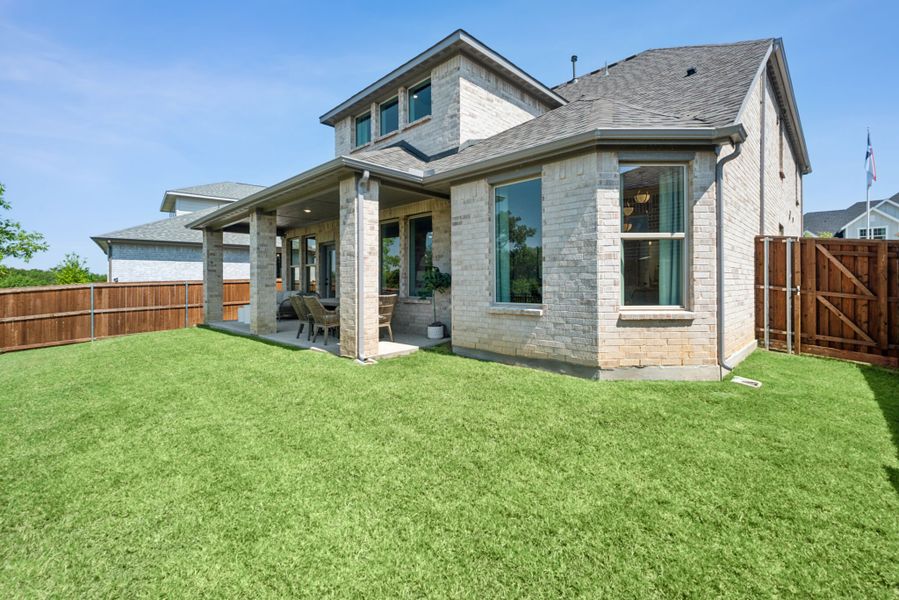 Backyard