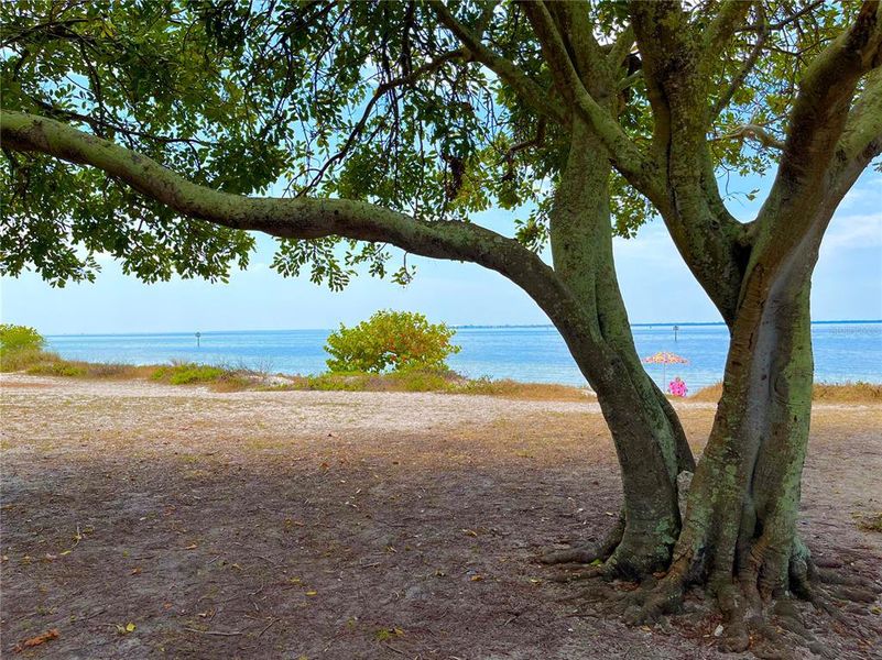 Nearby Picnic Island Park