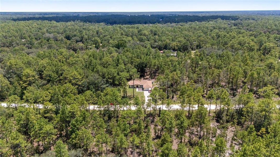Image 41 of a home in Rainbow Springs.