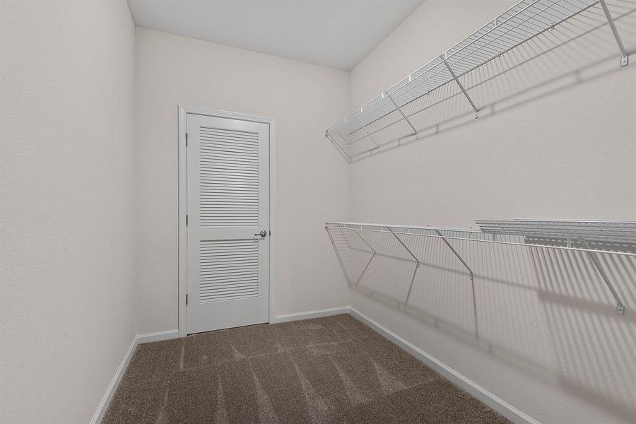 36-web-or-mls-46 Poplar-36 36-web-or-mls-46 Poplar-36