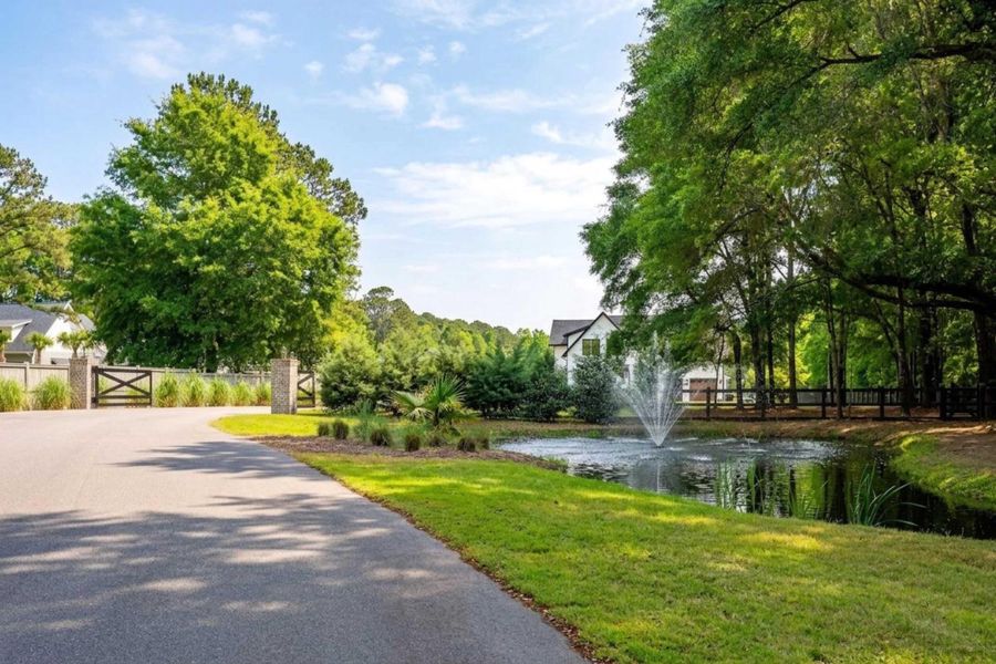 Natural landscape and outdoor views near  in Johns Island (Image 27).