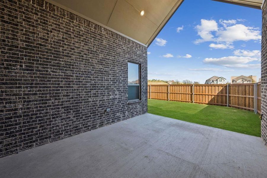 29-1016Sunflower_029 29-1016Sunflower_029