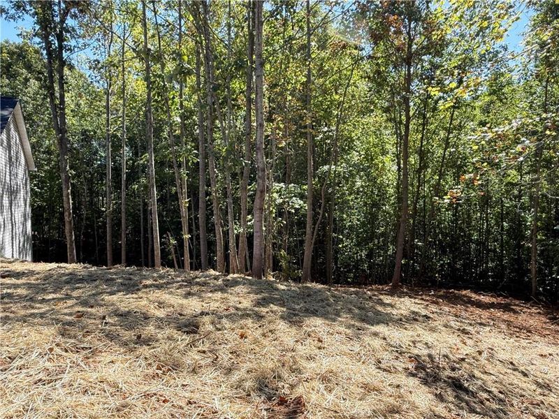 Natural landscape and outdoor views near  in Mount Airy (Image 19).