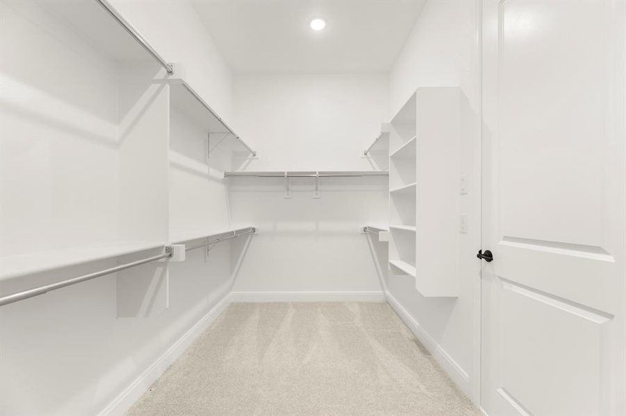 24. 1615 Yorkie - Closet