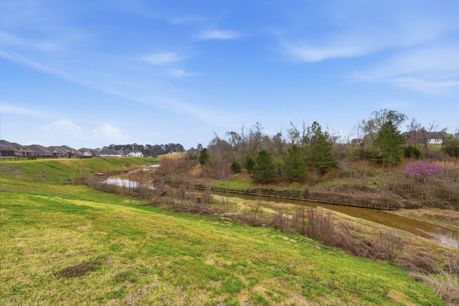 Natural landscape and outdoor views near Waterstone on Lake Conroe in Montgomery (Image 45).