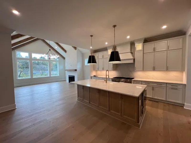 The Belterra D Kitchen The Belterra D Kitchen