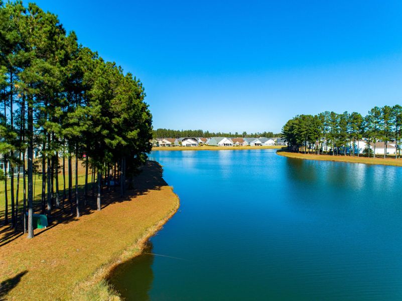Natural landscape and outdoor views near The Coves at Lakes of Cane Bay in Summerville (Image 50).