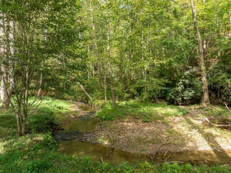 Natural landscape and outdoor views near  in Ellijay (Image 61).