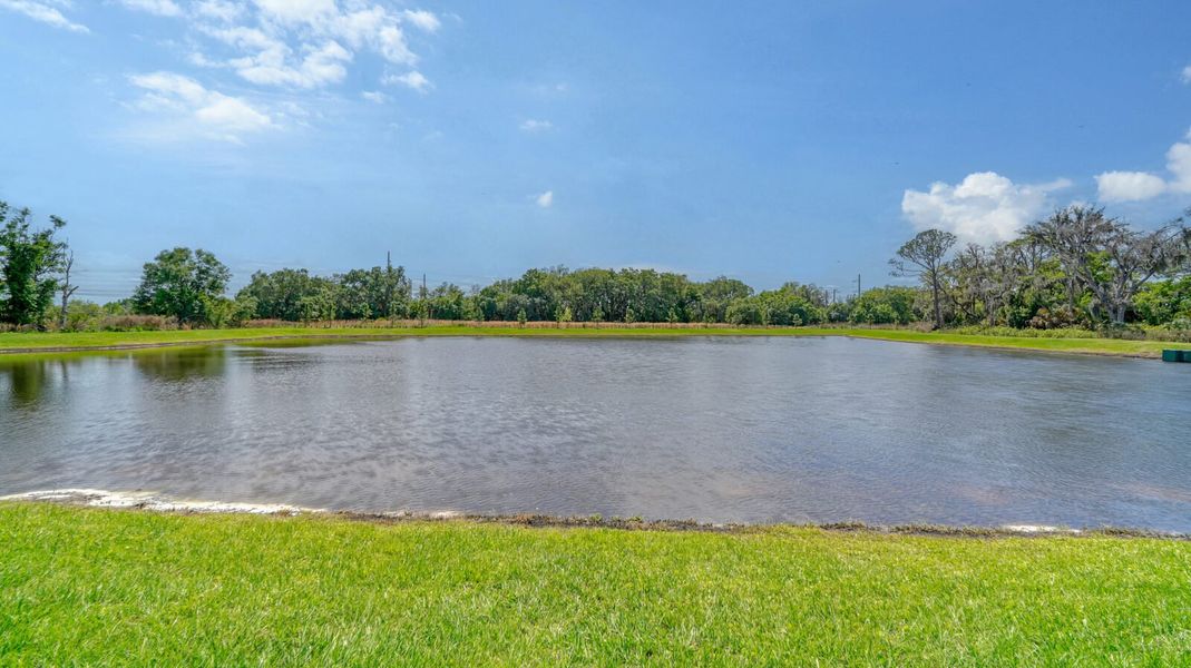 Natural landscape and outdoor views near Wildleaf at North River Ranch in Parrish (Image 27).