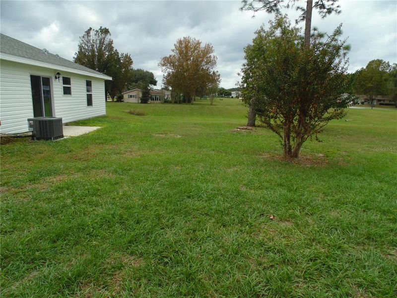 Natural landscape and outdoor views near  in Ocala (Image 19).