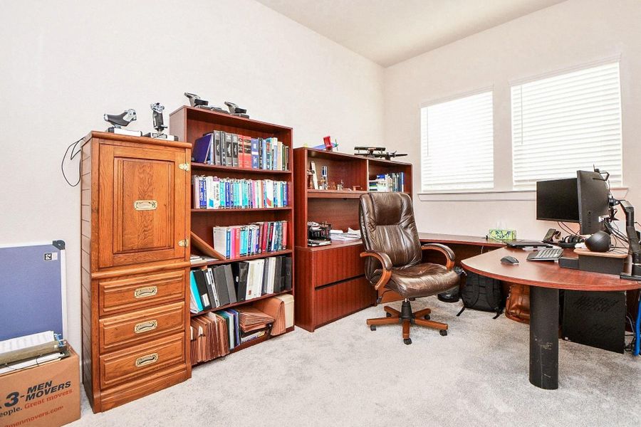 Large study Large study