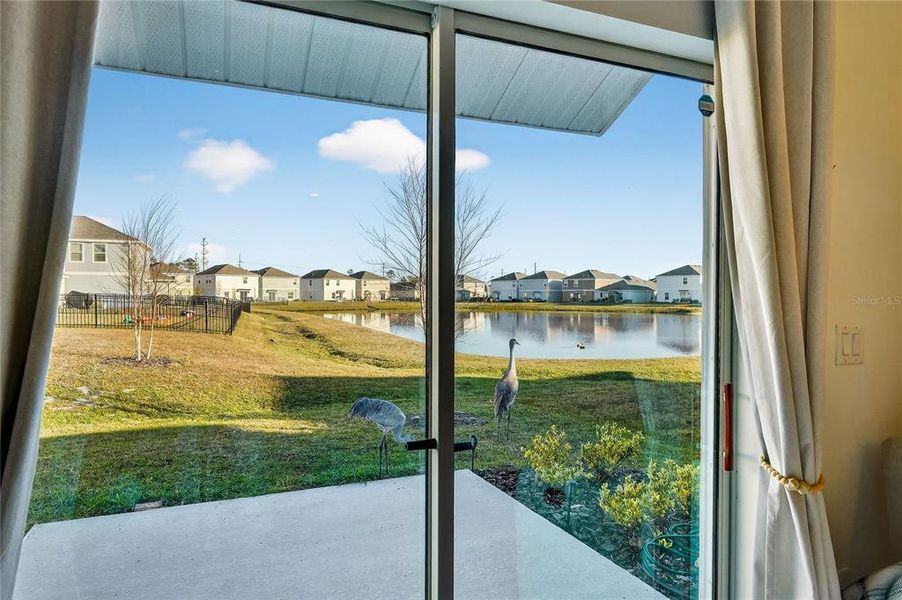 Exterior details and patio area of a home in Preserve at LPGA: Manor Collection, Daytona Beach (Image 3).