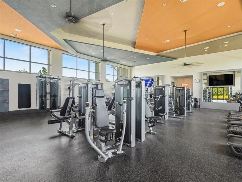 Community amenities in , Sarasota (Image 34). Community amenities in , Sarasota (Image 34).