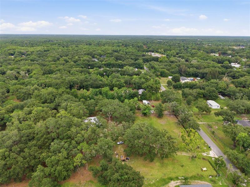Natural landscape and outdoor views near in Orlando (Image 21). Natural landscape and outdoor views near in Orlando (Image 21).