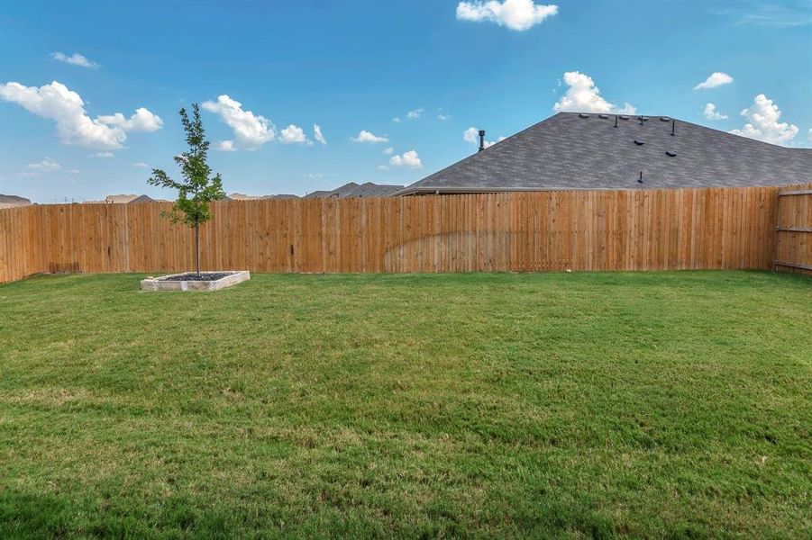 View of fenced backyard