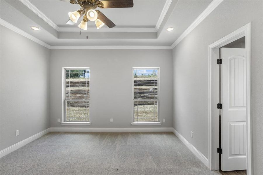 Carpeted spare room with a tray ceiling, ceiling fan, and ornamental molding