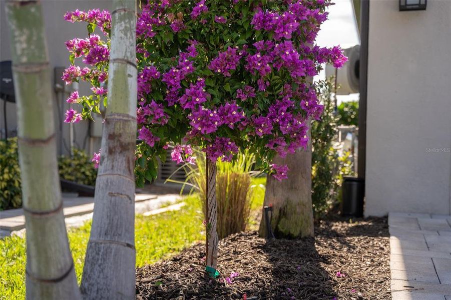 Image 91 of a home in .