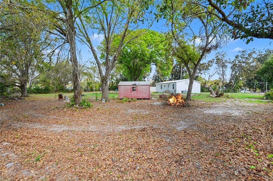 Natural landscape and outdoor views near  in Riverview (Image 24).