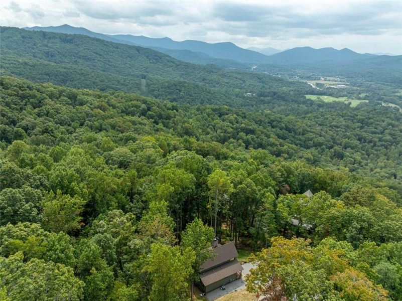 Natural landscape and outdoor views near  in Young Harris (Image 49).
