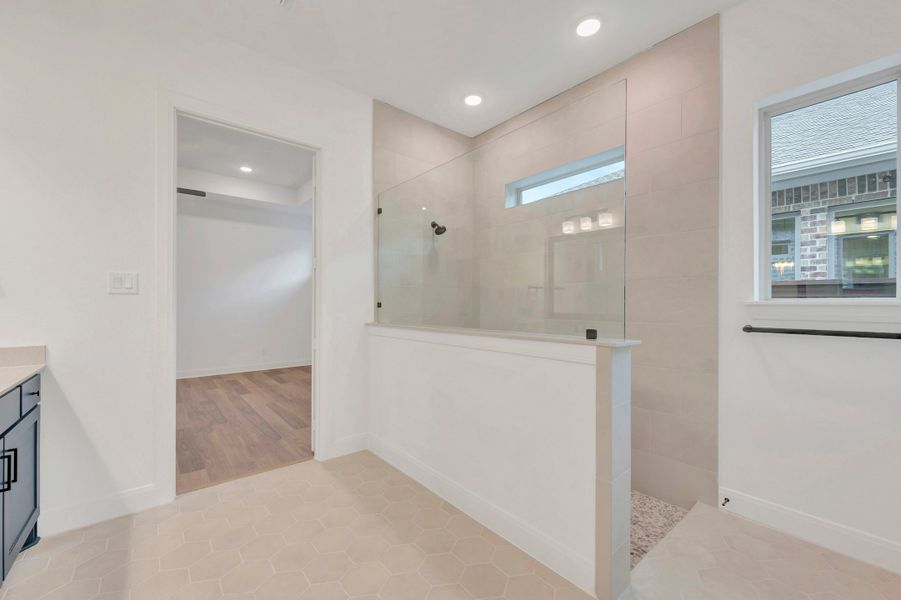 Owner's Bath