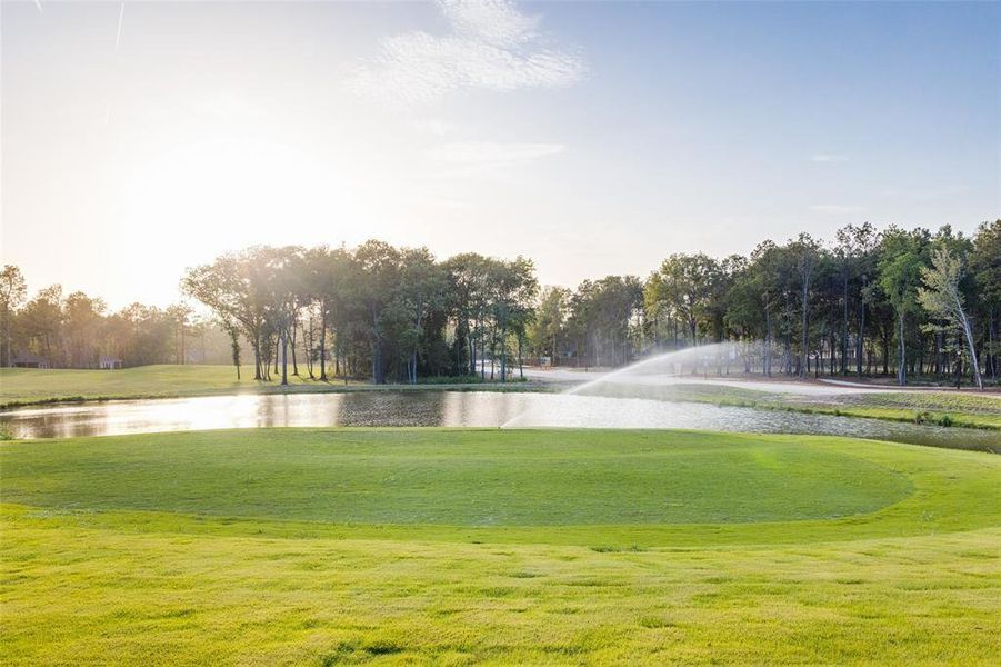 Natural landscape and outdoor views near The Highlands: Richmond and Woodbridge Collections in Porter (Image 23).