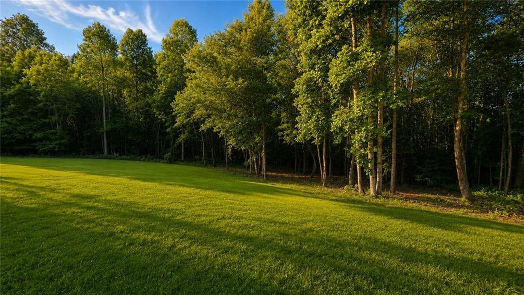 Natural landscape and outdoor views near in Blairsville (Image 22). Natural landscape and outdoor views near in Blairsville (Image 22).