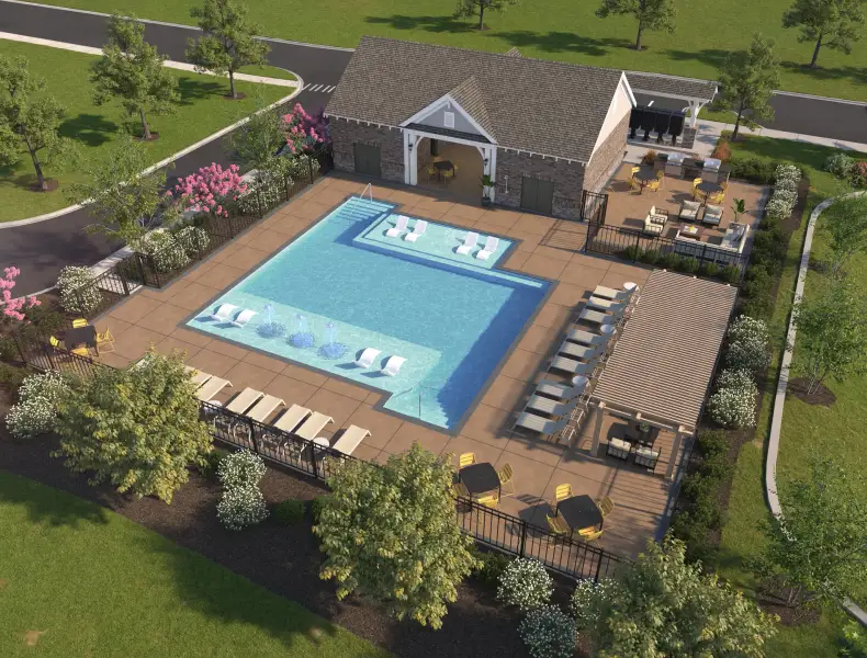 Future Swimming Pool Rendering