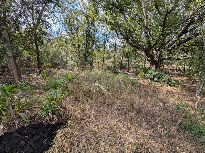 Natural landscape and outdoor views near  in Arcadia (Image 34).