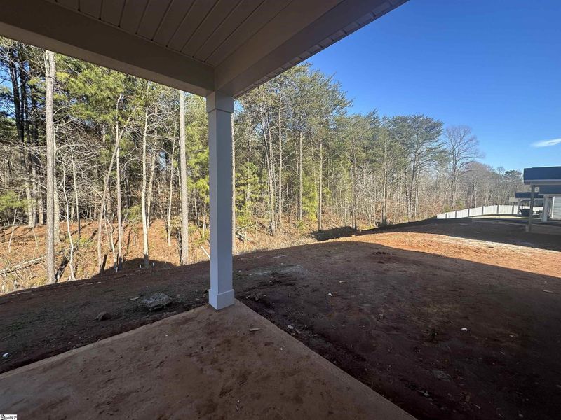 Exterior details and patio area of a home in Shiloh Trail, Wellford (Image 2).