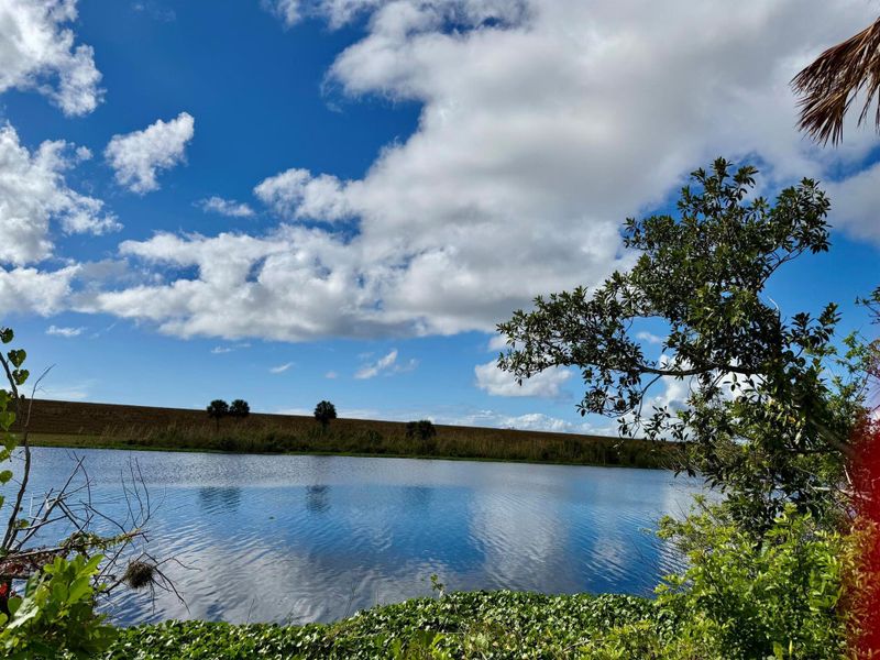 Natural landscape and outdoor views near  in Okeechobee (Image 38).
