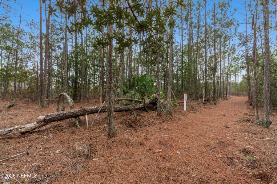 Natural landscape and outdoor views near Evergreen Island at Silverleaf - Executive in St. Augustine (Image 6).