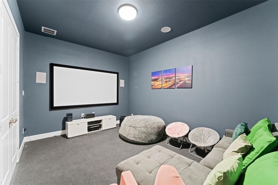 This room features a large projection screen, recessed ceiling lights, and a wall-mounted ceiling light fixture