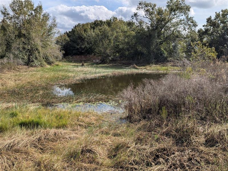 Natural landscape and outdoor views near  in Arcadia (Image 27).