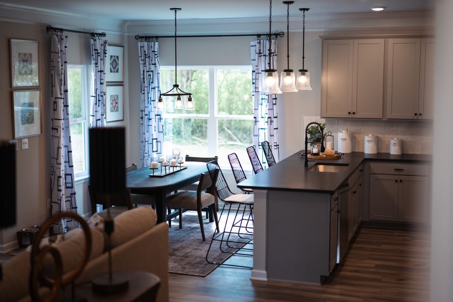 Furnished interior view inside a new home in Hillcrest Park, Ringgold (Image 4).