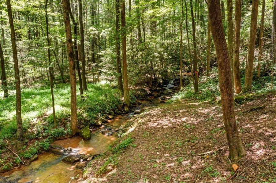 Natural landscape and outdoor views near  in Ellijay (Image 35).