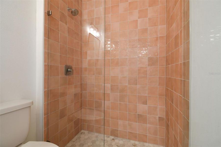2nd Bathroom with frameless shower desiger tile 2nd Bathroom with frameless shower desiger tile