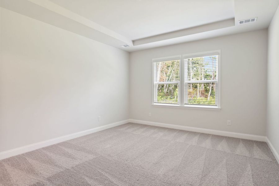 Owner's Suite with Tray Ceilings Owner's Suite with Tray Ceilings