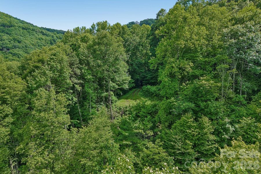 Natural landscape and outdoor views near  in Maggie Valley (Image 24).