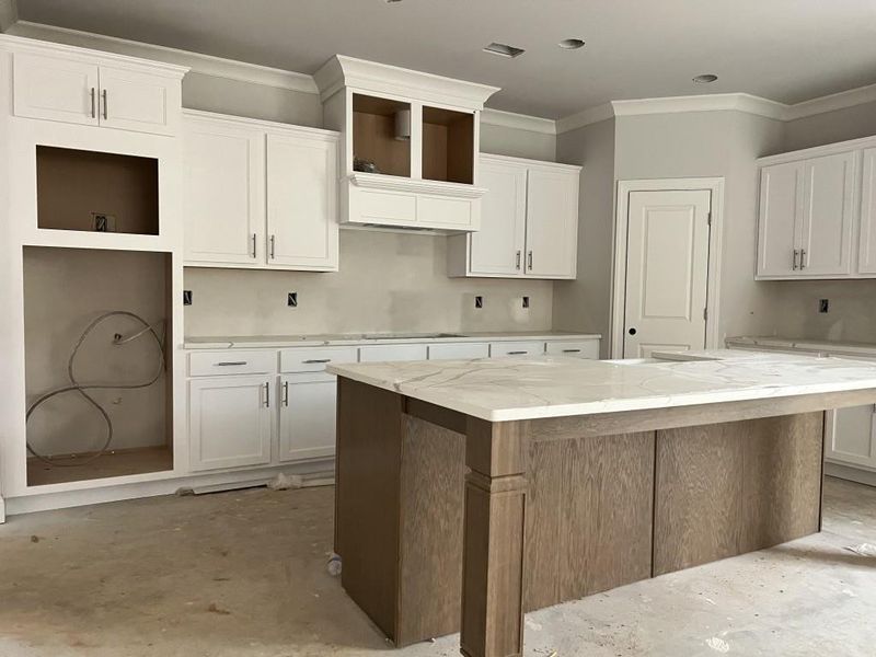 In-progress construction of a new home in Hemingway, Flowery Branch, GA (Image 22).
