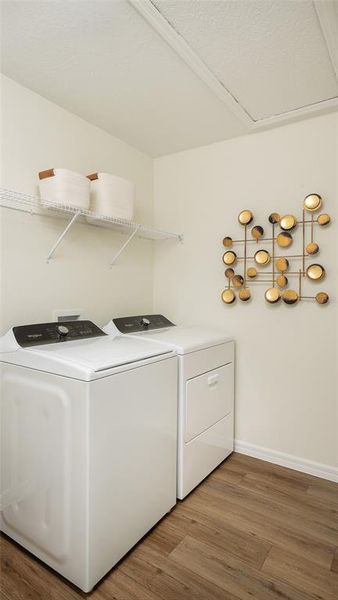Close-up of interior finishes inside a home in Pasadena Ridge, Zephyrhills (Image 19).