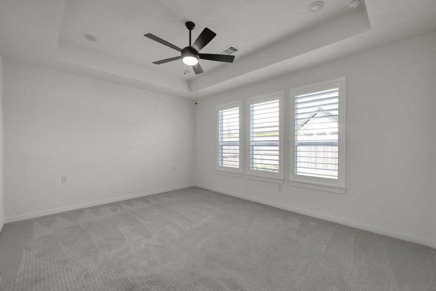 The owner's suite is located at the back of the home and has a tray ceiling.