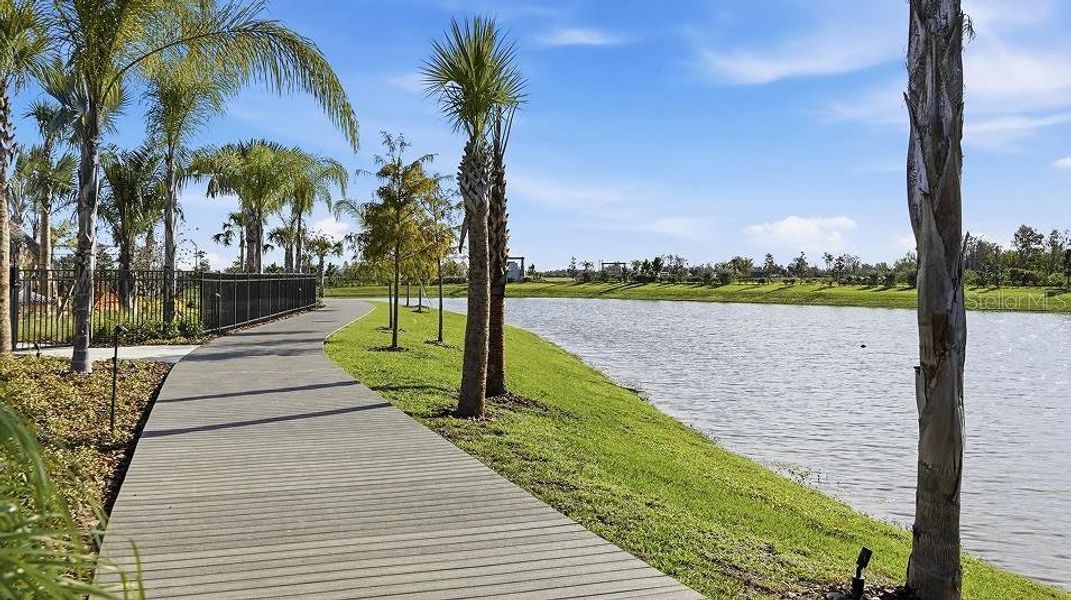 Natural landscape and outdoor views near Prosperity Lakes in Parrish (Image 65).