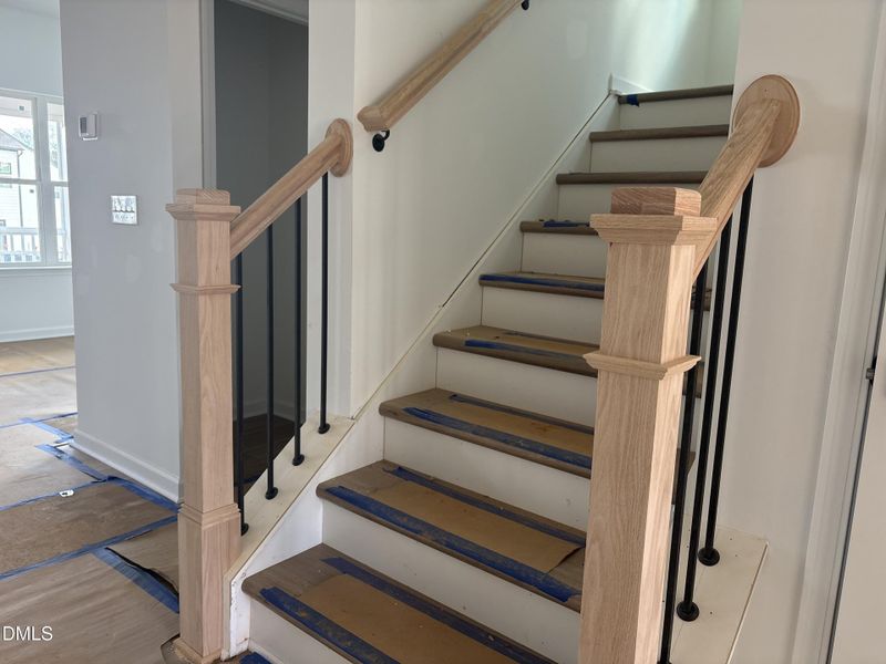 Photo_Nov_10_25 01-46-45 PM